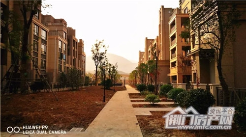 小区实景图.jpg.jpg