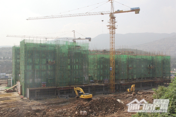 万华城洋房工程进度.jpg