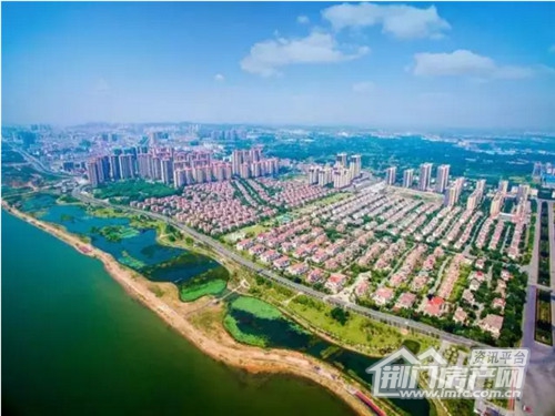 碧桂园鸟瞰图.jpg