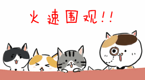 0.gif