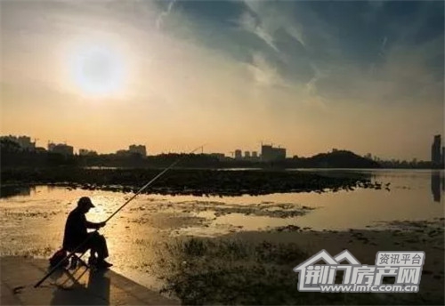 碧桂园·纯水岸活动亮点.jpg