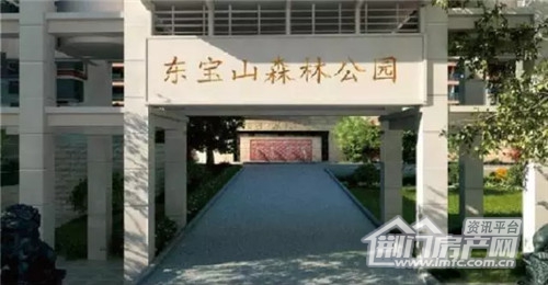 东宝山森林公园.jpg