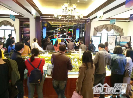 碧桂园·纯水岸样板间开放现场.png
