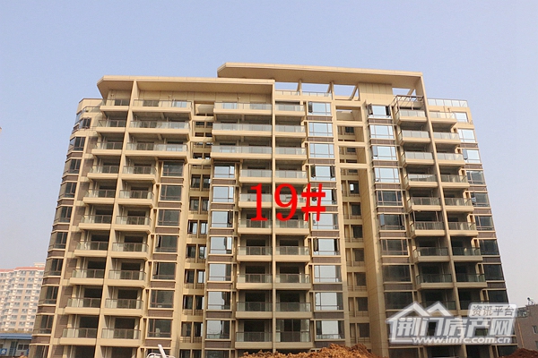19.JPG