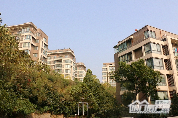 IMG_1552.JPG