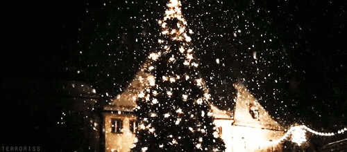 6.gif
