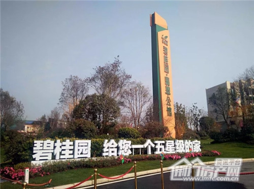 碧桂园翡翠公馆实景图.jpg