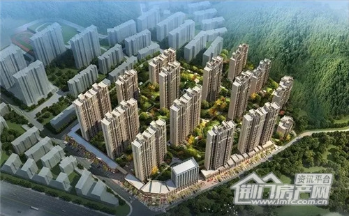 长龙·中央公园VIP诚意登记.jpg