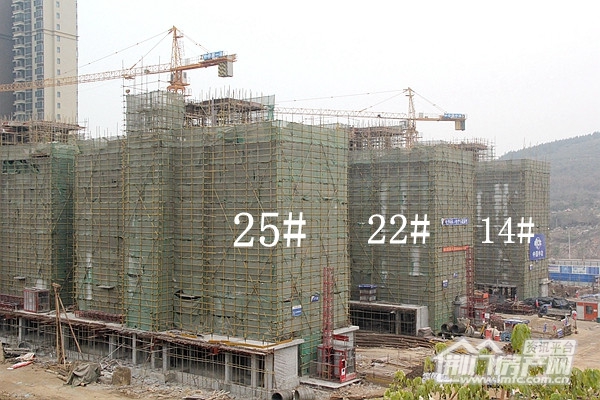 万华城12月工程进度.jpg