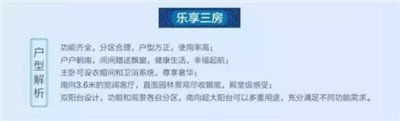 碧桂园·纯水岸户型图.jpg