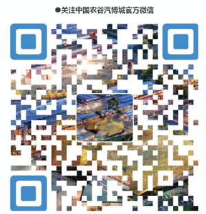 12月29日盛大开盘.jpg