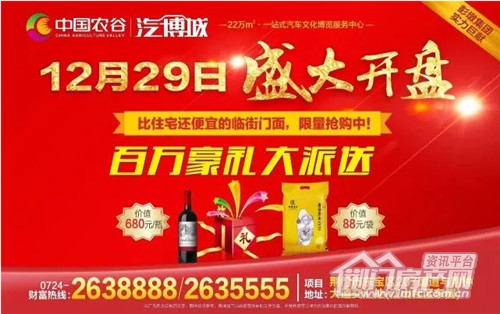 12月29日盛大开盘,.jpg