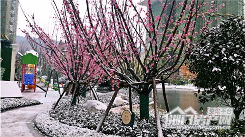 荆门恒大帝景小区内部实拍.jpg