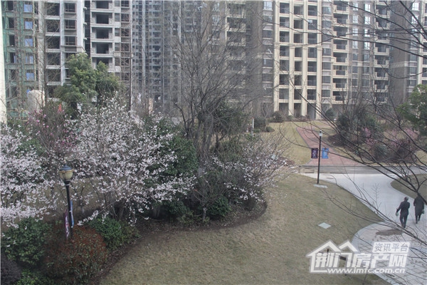 佳信·凯旋城小区实景.jpg