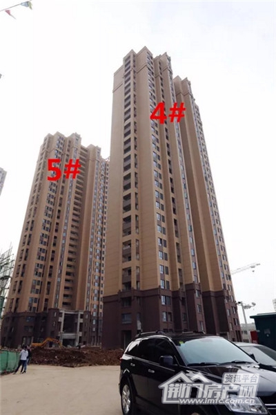 5_.jpg