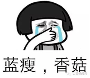 洋丰·凤凰香醍5月工期报道.jpg