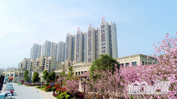 麒麟·万华城5月工程进度.jpg