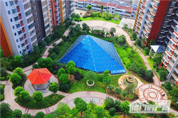 葡萄园小区实景图.jpg