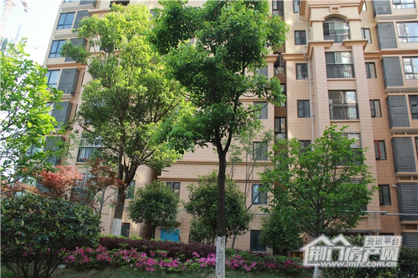 中央华府小区实景图.jpg
