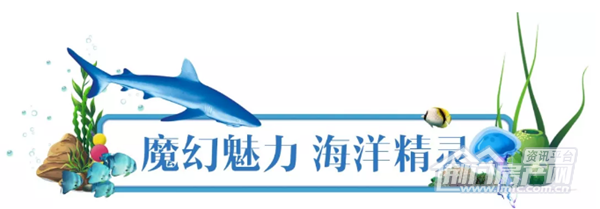 9.png